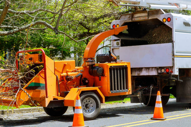 Best Aeration Services  in Spencer, TN